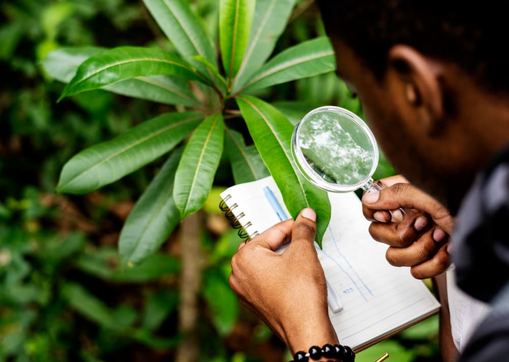 Environmental Analyst